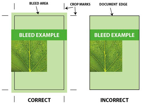 Bleed example